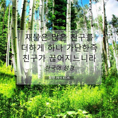 Picture 07 - 잠언 19:4 KOR - 재물은 많은 친구를 더하게 하나 - Bible Verse Picture
