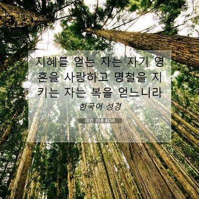 Picture 07 - 잠언 19:8 KOR - 지혜를 얻는 자는 자기 영혼을 - Bible Verse Picture