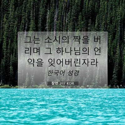 Picture 07 - 잠언 2:17 KOR - 그는 소시의 짝을 버리며 그 - Bible Verse Picture