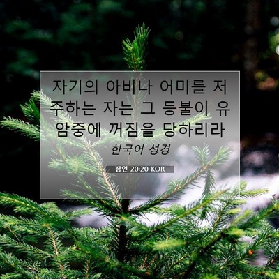 Picture 07 - 잠언 20:20 KOR - 자기의 아비나 어미를 저주하는 자는 - Bible Verse Picture
