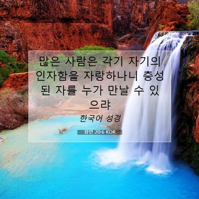 Picture 07 - 잠언 20:6 KOR - 많은 사람은 각기 자기의 인자함을 - Bible Verse Picture