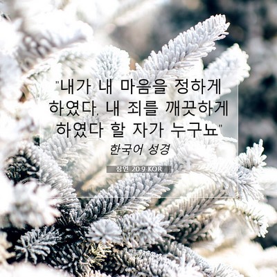 Picture 07 - 잠언 20:9 KOR - 