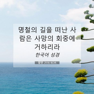 Picture 07 - 잠언 21:16 KOR - 명철의 길을 떠난 사람은 사망의 - Bible Verse Picture