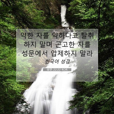 Picture 07 - 잠언 22:22 KOR - 약한 자를 약하다고 탈취하지 말며 - Bible Verse Picture