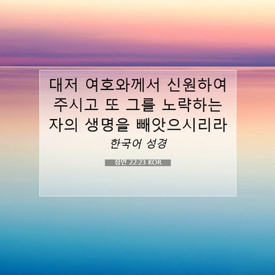 Picture 07 - 잠언 22:23 KOR - 대저 여호와께서 신원하여 주시고 또 - Bible Verse Picture
