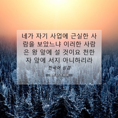 Picture 07 - 잠언 22:29 KOR - 네가 자기 사업에 근실한 사람을 - Bible Verse Picture
