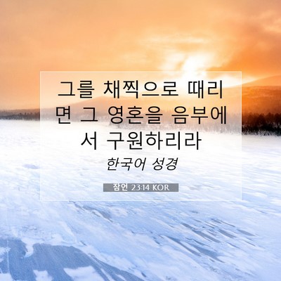Picture 07 - 잠언 23:14 KOR - 그를 채찍으로 때리면 그 영혼을 - Bible Verse Picture