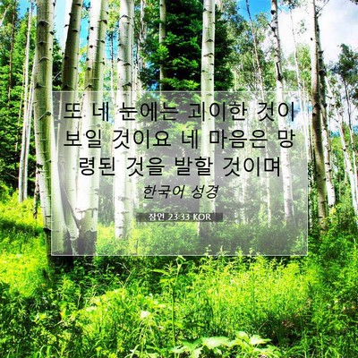 Picture 07 - 잠언 23:33 KOR - 또 네 눈에는 괴이한 것이 보일 - Bible Verse Picture
