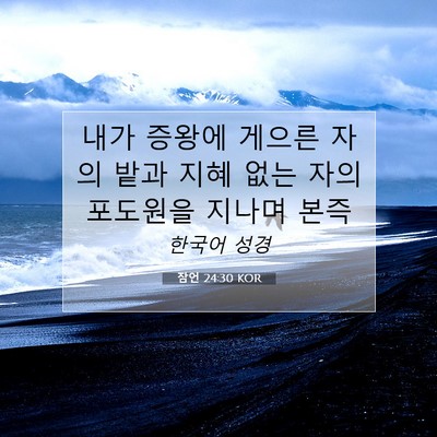 Picture 07 - 잠언 24:30 KOR - 내가 증왕에 게으른 자의 밭과 지혜 - Bible Verse Picture