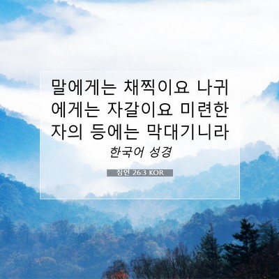 Picture 07 - 잠언 26:3 KOR - 말에게는 채찍이요 나귀에게는 - Bible Verse Picture