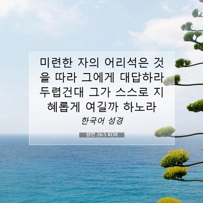 Picture 07 - 잠언 26:5 KOR - 미련한 자의 어리석은 것을 따라 - Bible Verse Picture