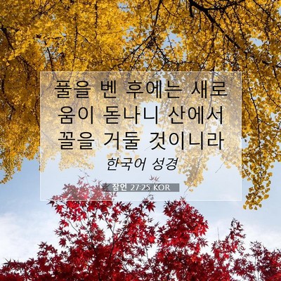 Picture 07 - 잠언 27:25 KOR - 풀을 벤 후에는 새로 움이 돋나니 - Bible Verse Picture
