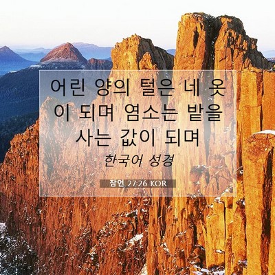 Picture 07 - 잠언 27:26 KOR - 어린 양의 털은 네 옷이 되며 염소는 - Bible Verse Picture