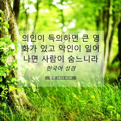 Picture 07 - 잠언 28:12 KOR - 의인이 득의하면 큰 영화가 있고 - Bible Verse Picture
