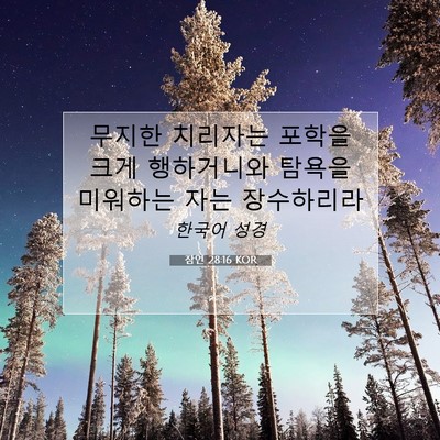 Picture 07 - 잠언 28:16 KOR - 무지한 치리자는 포학을 크게 - Bible Verse Picture