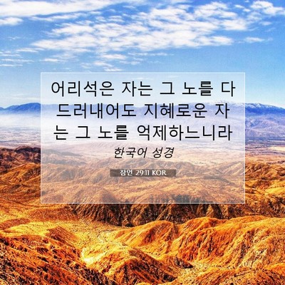 Picture 07 - 잠언 29:11 KOR - 어리석은 자는 그 노를 다 - Bible Verse Picture