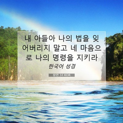 Picture 07 - 잠언 3:1 KOR - 내 아들아 나의 법을 잊어버리지 - Bible Verse Picture
