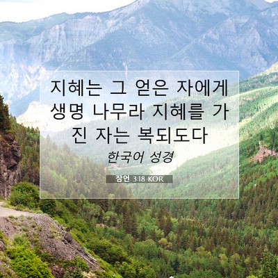 Picture 07 - 잠언 3:18 KOR - 지혜는 그 얻은 자에게 생명 나무라 - Bible Verse Picture