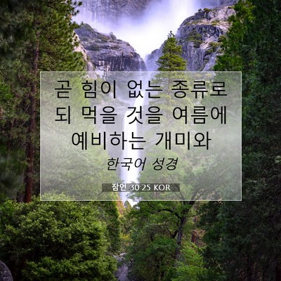 Picture 07 - 잠언 30:25 KOR - 곧 힘이 없는 종류로되 먹을 것을 - Bible Verse Picture