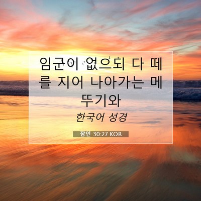 Picture 07 - 잠언 30:27 KOR - 임군이 없으되 다 떼를 지어 - Bible Verse Picture