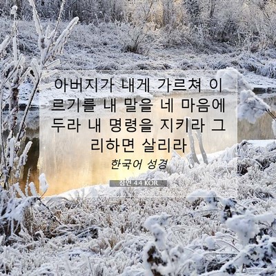 Picture 07 - 잠언 4:4 KOR - 아버지가 내게 가르쳐 이르기를 내 - Bible Verse Picture