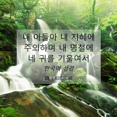 Picture 07 - 잠언 5:1 KOR - 내 아들아 내 지혜에 주의하며 내 - Bible Verse Picture