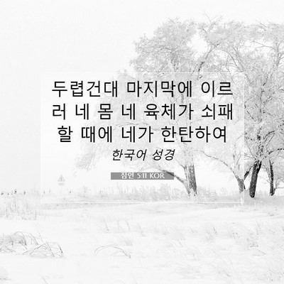 Picture 07 - 잠언 5:11 KOR - 두렵건대 마지막에 이르러 네 몸 네 - Bible Verse Picture