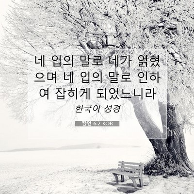 Picture 07 - 잠언 6:2 KOR - 네 입의 말로 네가 얽혔으며 네 입의 - Bible Verse Picture