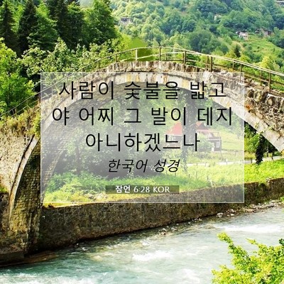 Picture 07 - 잠언 6:28 KOR - 사람이 숯불을 밟고야 어찌 그 발이 - Bible Verse Picture