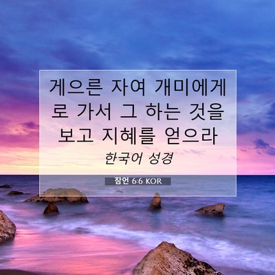 Picture 07 - 잠언 6:6 KOR - 게으른 자여 개미에게로 가서 그 - Bible Verse Picture