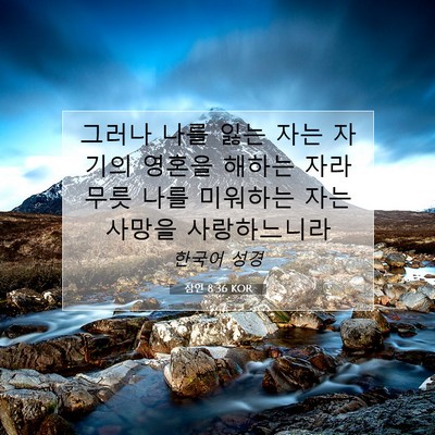 Picture 07 - 잠언 8:36 KOR - 그러나 나를 잃는 자는 자기의 - Bible Verse Picture