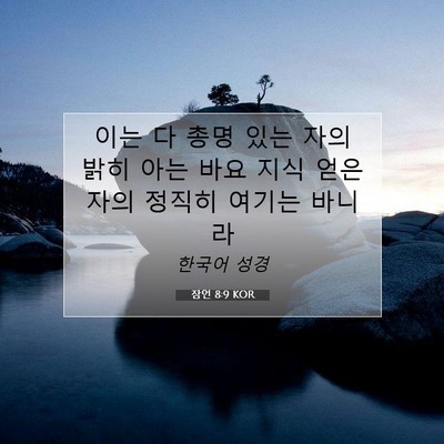 Picture 07 - 잠언 8:9 KOR - 이는 다 총명 있는 자의 밝히 아는 - Bible Verse Picture