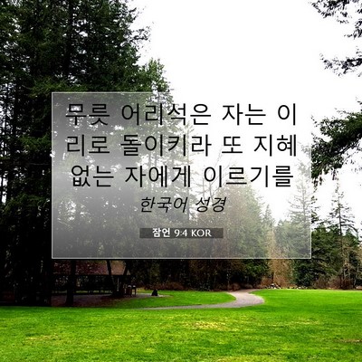 Picture 07 - 잠언 9:4 KOR - 무릇 어리석은 자는 이리로 돌이키라 - Bible Verse Picture