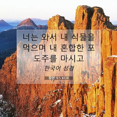 Picture 07 - 잠언 9:5 KOR - 너는 와서 내 식물을 먹으며 내 - Bible Verse Picture