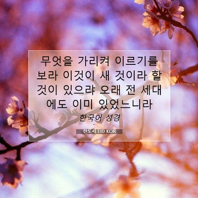 Picture 07 - 전도서 1:10 KOR - 무엇을 가리켜 이르기를 보라 이것이 - Bible Verse Picture