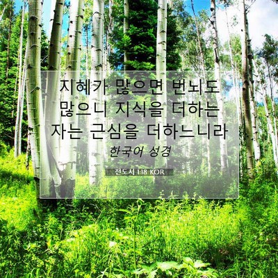 Picture 07 - 전도서 1:18 KOR - 지혜가 많으면 번뇌도 많으니 지식을 - Bible Verse Picture