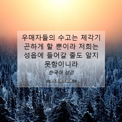 Picture 07 - 전도서 10:15 KOR - 우매자들의 수고는 제각기 곤하게 할 - Bible Verse Picture
