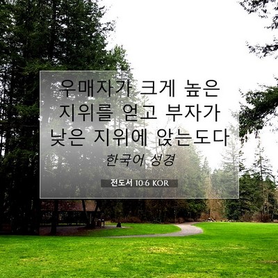 Picture 07 - 전도서 10:6 KOR - 우매자가 크게 높은 지위를 얻고 - Bible Verse Picture