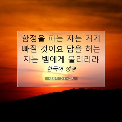 Picture 07 - 전도서 10:8 KOR - 함정을 파는 자는 거기 빠질 것이요 - Bible Verse Picture