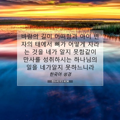 Picture 07 - 전도서 11:5 KOR - 바람의 길이 어떠함과 아이 밴 자의 - Bible Verse Picture