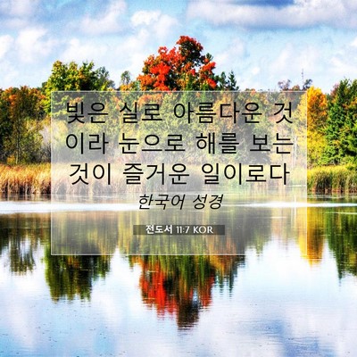 Picture 07 - 전도서 11:7 KOR - 빛은 실로 아름다운 것이라 눈으로 - Bible Verse Picture