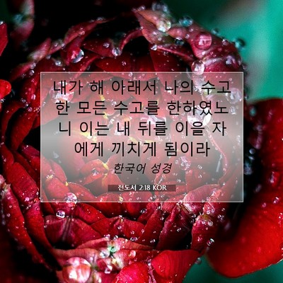 Picture 07 - 전도서 2:18 KOR - 내가 해 아래서 나의 수고한 모든 - Bible Verse Picture