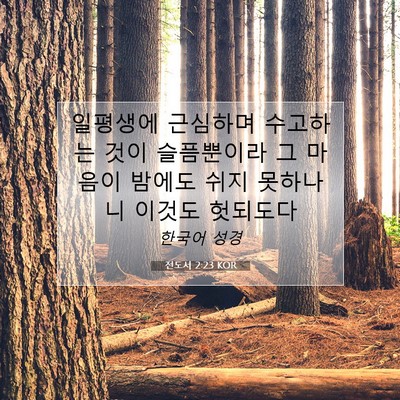 Picture 07 - 전도서 2:23 KOR - 일평생에 근심하며 수고하는 것이 - Bible Verse Picture