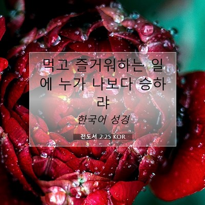 Picture 07 - 전도서 2:25 KOR - 먹고 즐거워하는 일에 누가 나보다 - Bible Verse Picture