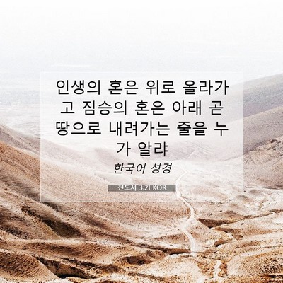 Picture 07 - 전도서 3:21 KOR - 인생의 혼은 위로 올라가고 짐승의 - Bible Verse Picture