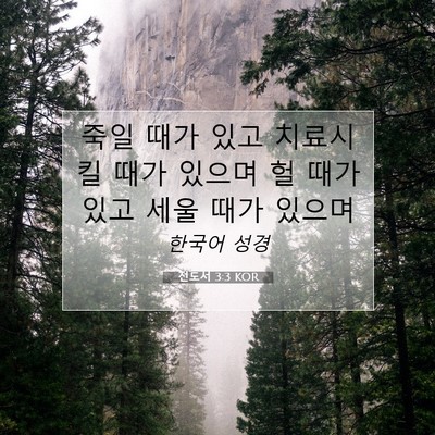 Picture 07 - 전도서 3:3 KOR - 죽일 때가 있고 치료시킬 때가 - Bible Verse Picture