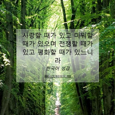 Picture 07 - 전도서 3:8 KOR - 사랑할 때가 있고 미워할 때가 - Bible Verse Picture