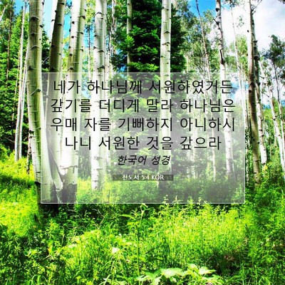 Picture 07 - 전도서 5:4 KOR - 네가 하나님께 서원하였거든 갚기를 - Bible Verse Picture