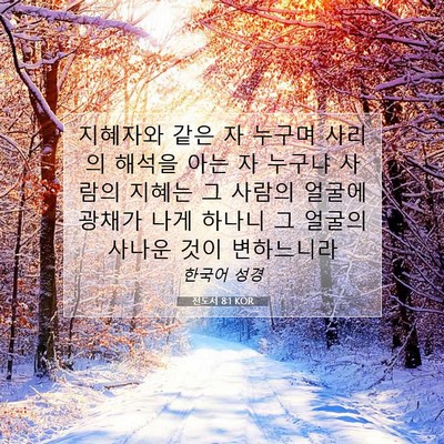 Picture 07 - 전도서 8:1 KOR - 지혜자와 같은 자 누구며 사리의 - Bible Verse Picture