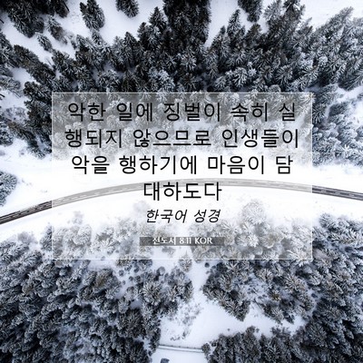 Picture 07 - 전도서 8:11 KOR - 악한 일에 징벌이 속히 실행되지 - Bible Verse Picture